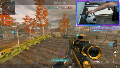 day10 MW3 STREAMING