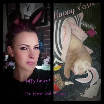 Happy Easter from Romeo & family, fur and humans!
