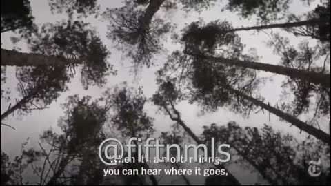 War in Ukraine Bloodline part 22