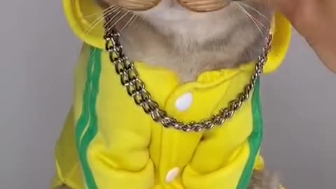 👆I'm on the weekend😅