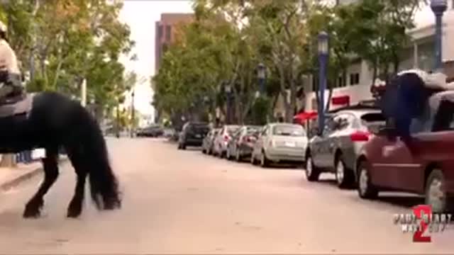 most funny video ever