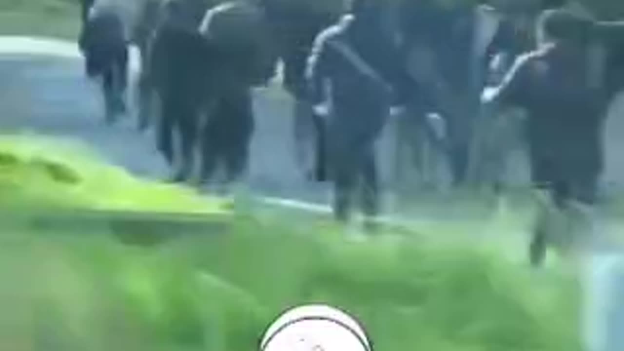 Tschechien / Grenze zu Sachsen - Asylantenbewegung in Richtung Deutschland