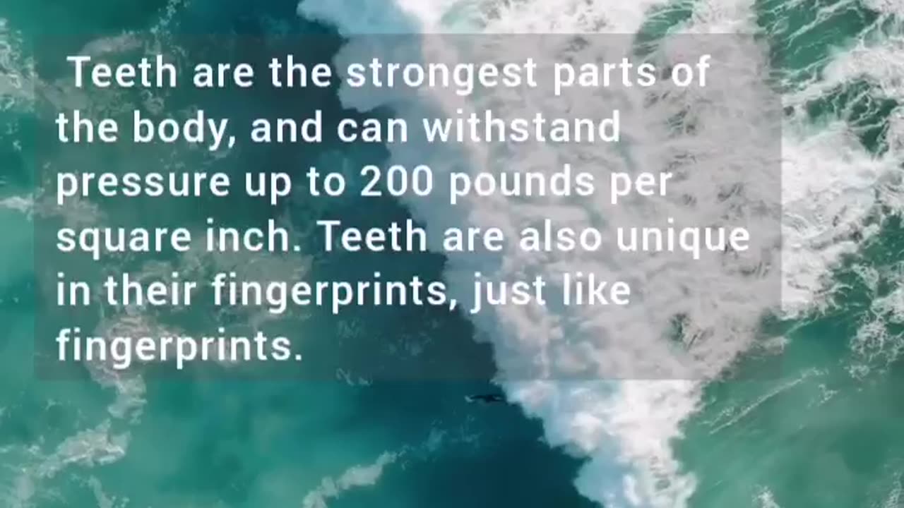 A fact about you!