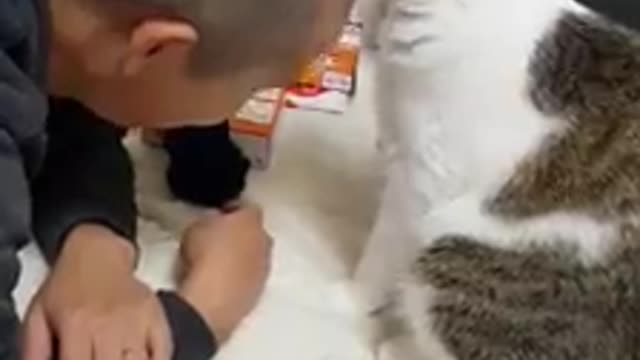 My cat has new way to massage for me