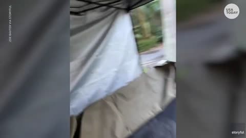 Playful kangaroo searches for snacks, chases camper around tent | USA TODAY