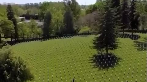 Memorial Day National Cemetery