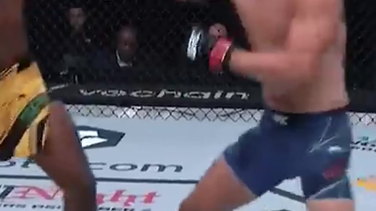 KO Madness Unleashed: Experience the Thrill of Spectacular Knockouts!