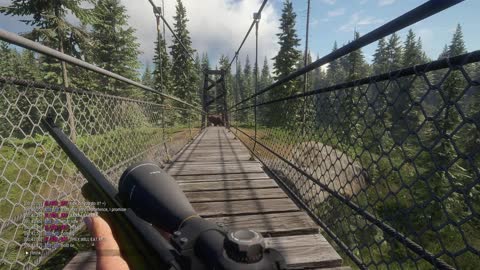 Call of the Wild: Animal Madness in Yukon Valley, Canada