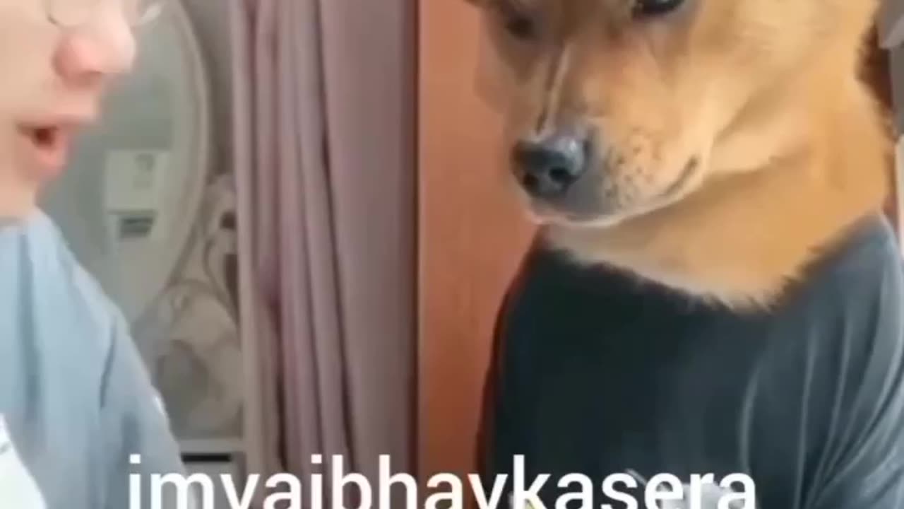 Dog