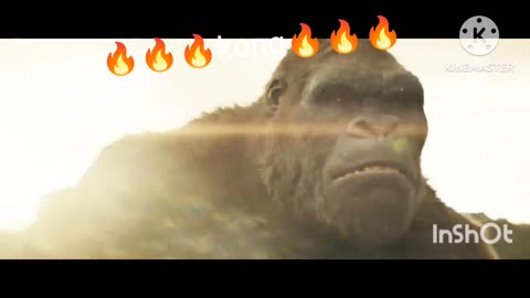 Kong 🔥🔥🔥🔥