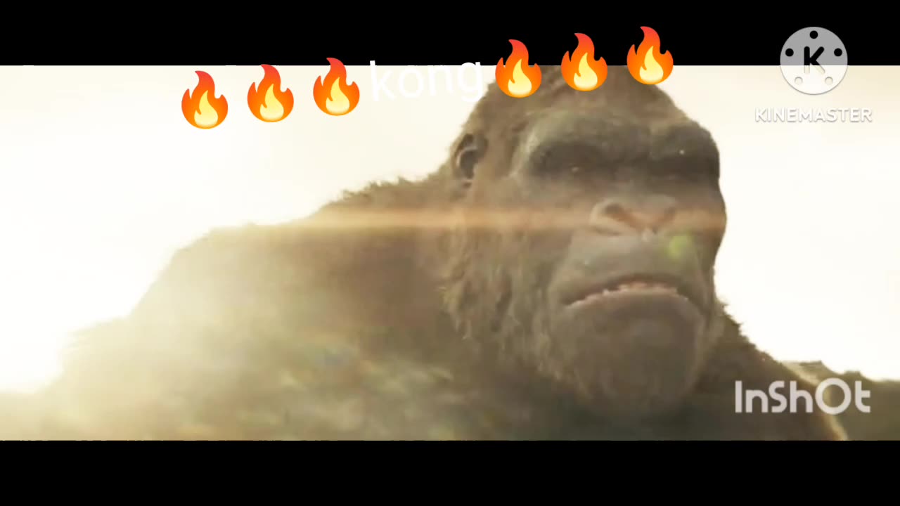 Kong 🔥🔥🔥🔥