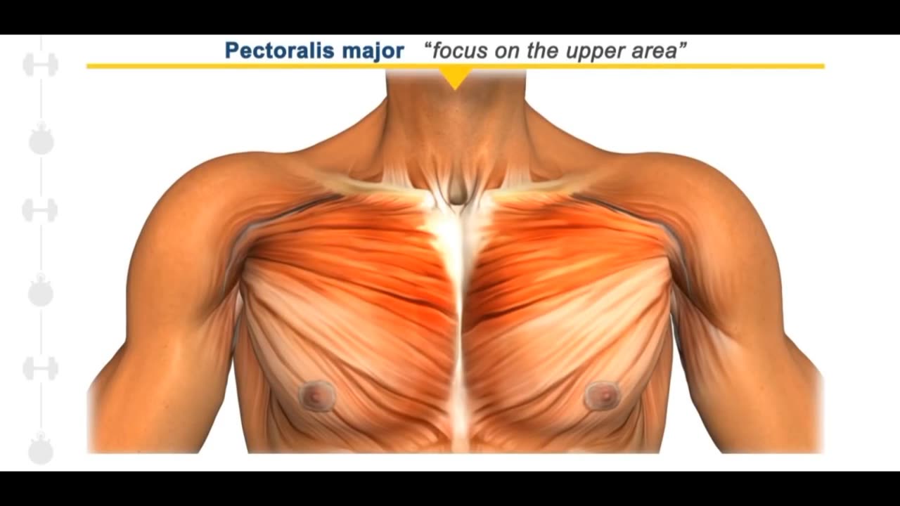 CHEST WORKOUT (FROM HOME)