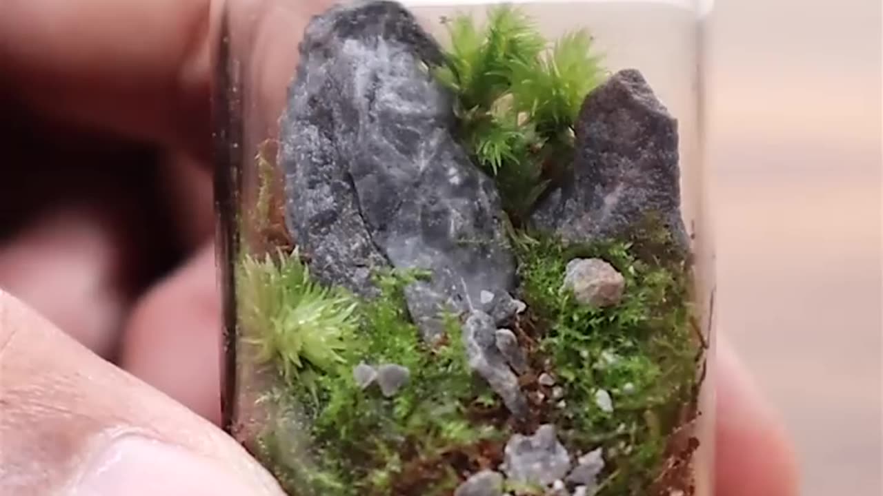 Easy and fun mini moss terrarium #shorts