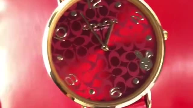 Is the watch worth three hundred dollars? Everybody help me to have a look!