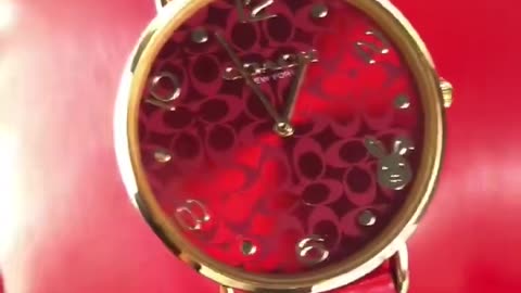 Is the watch worth three hundred dollars? Everybody help me to have a look!