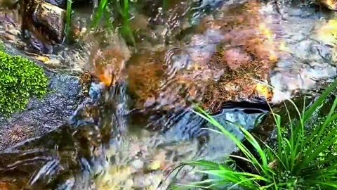 Beautiful scene of clean water of River