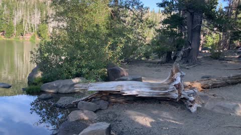 Central Oregon - Little Three Creek Lake - Circumnavigating the Lake - 4K