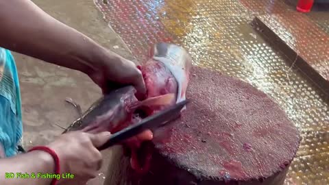 Giant African Magur Fish Cutting Live In Bangladesh | Amazing Catfish Cutting Skills