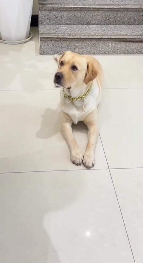 I have seen people do this with money 😂😂