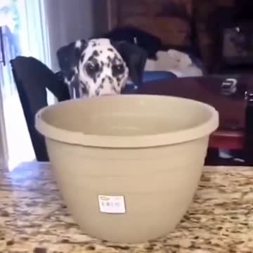 reason to smile because we already have to cry 9