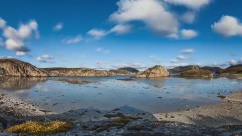 Skagerrak - Europe's Unique Marine Animal Habitat