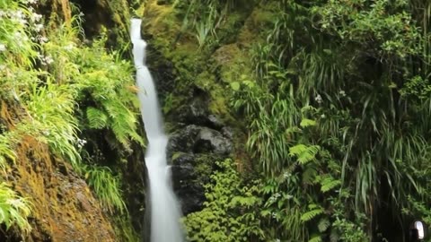 Karamatura Falls Auckland New Zealand Tour