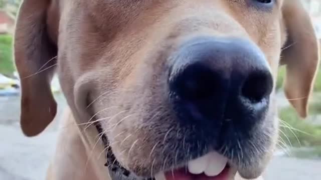 Interesting animal world,Make you laugh every day and enjoy a good mood.