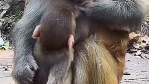 fabrikadan halka degilmiydi o.bu üretimden tüketime geçmiş