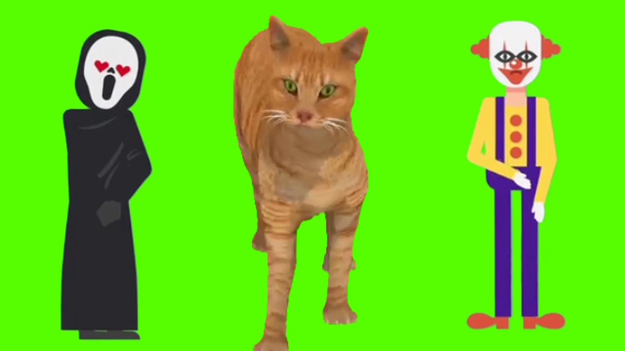 Cat green screen cartoon characters videos| New green screen video