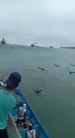 1/15/2022 the Tonga Tsunami off the Ecuadorian coast over the water