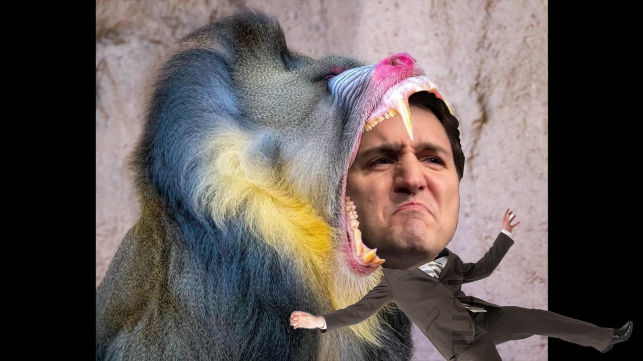 Monkey chews on Tru-D'oh.