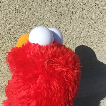 E L M O K N O W S W H E R E Y O U L I V E #shorts