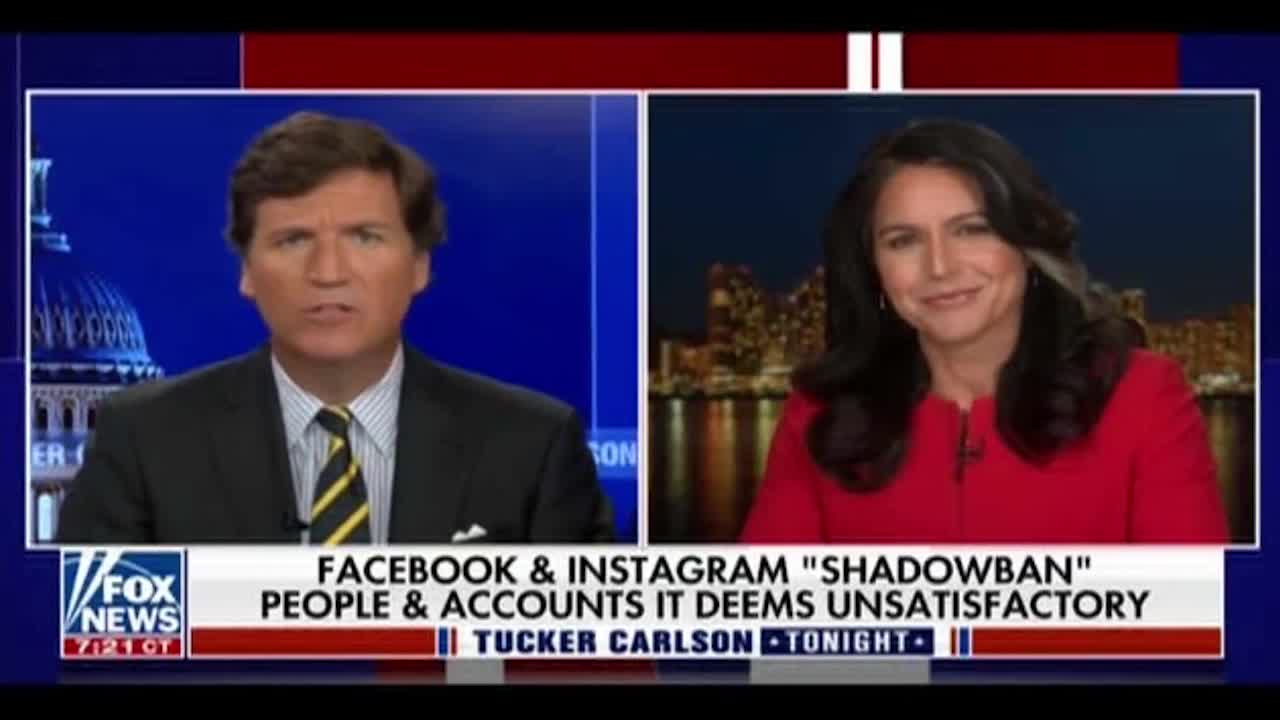 Tulsi Gabbard: Of Course Overthrowing Putin is the U.S.'s Real Goal (3.28.22)