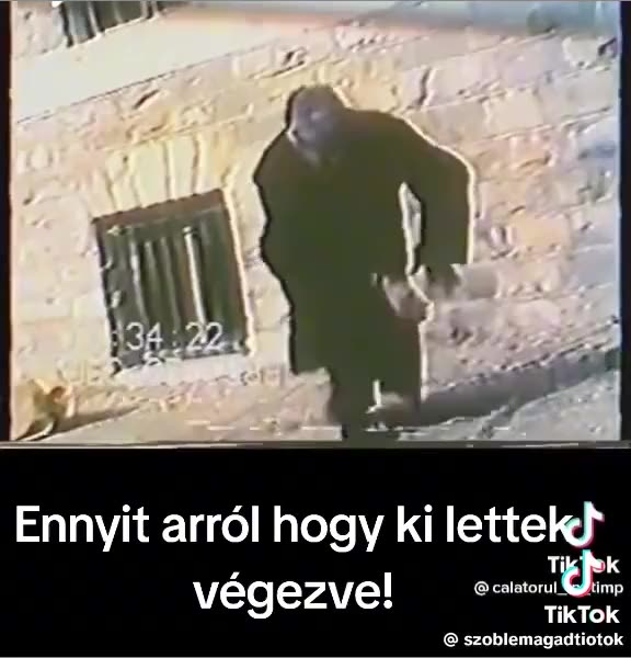 Nicolae - Elena Ceausescu 1989.12.25