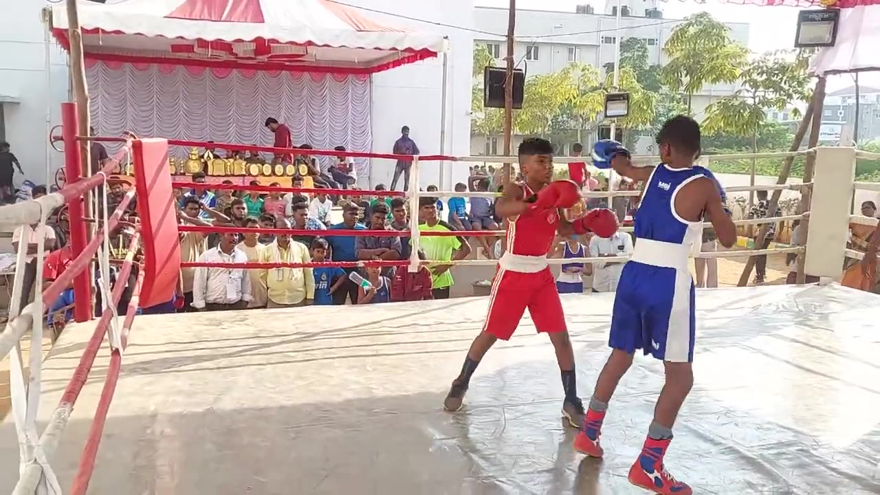 State Level Boxing Championship