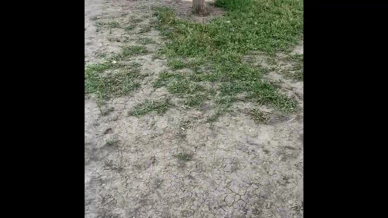 You’ll never guess the name of this FBI helicopter in this video