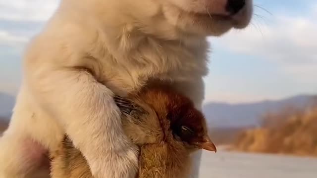 I will keep you warm in cold weather