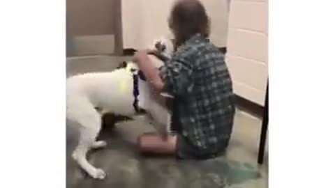 Homeless Man Saves Enough Money to Get His Dog Out Of The Pound Before it was Authanized