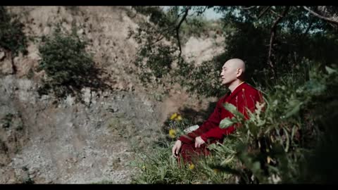 Relaxing Music | Sleeping, Meditation, Stress Relief | [6113] ⭐️