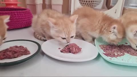 😋Time to eat | Время подкрепиться