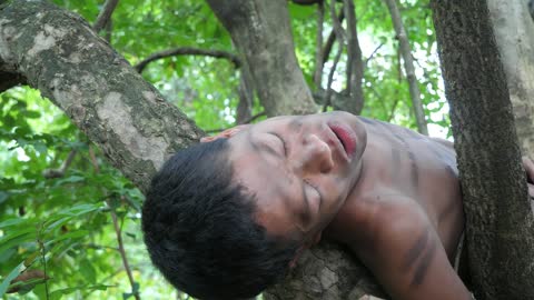 Shrimp eating in jungle, cooking on a rock | Primitive Wildlife-19