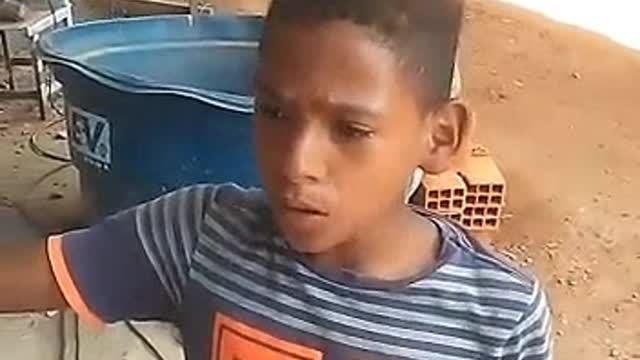 Sabiá das Alagoas