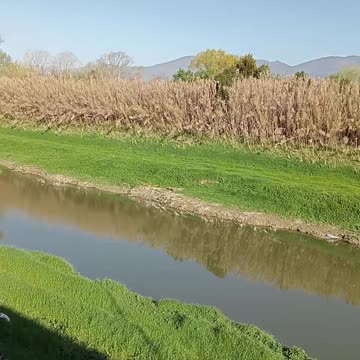 River of pontedera