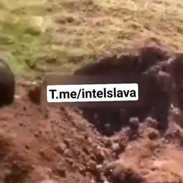 In the south of the Iraqi city of Sulaymaniyah, an officer of the local special services, while