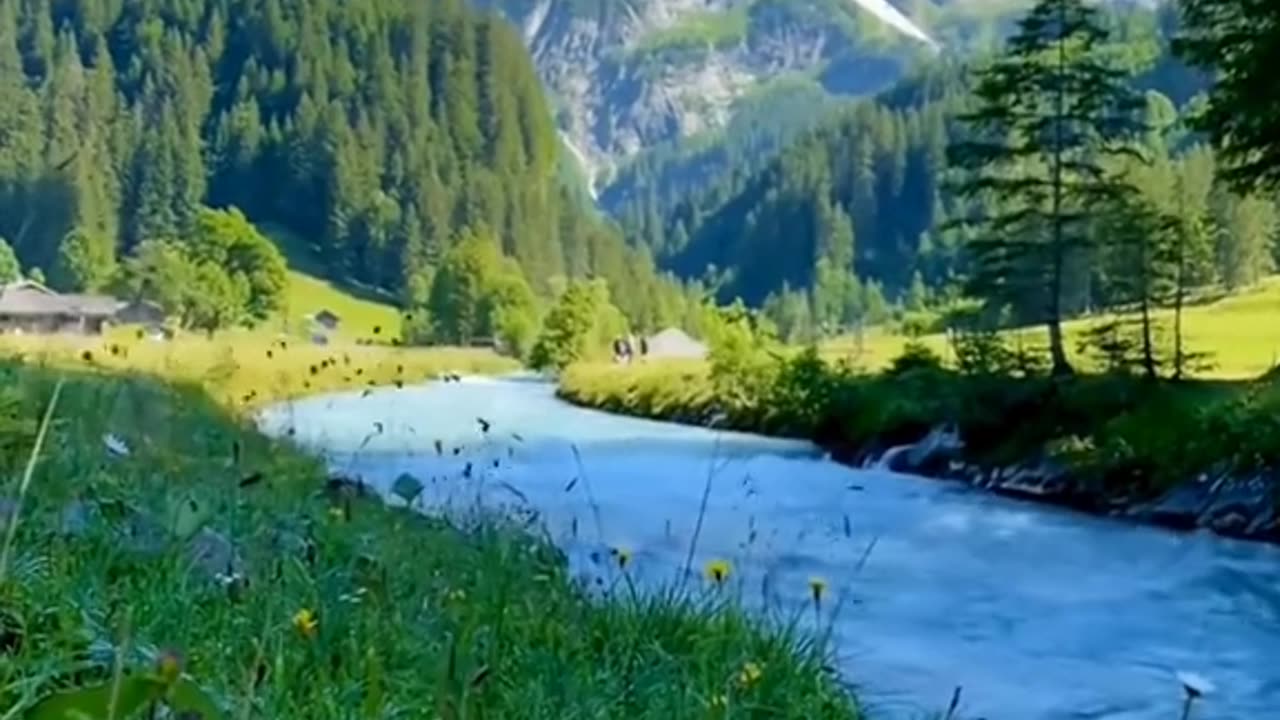 Peaceful life
