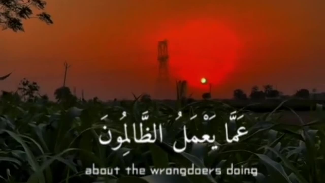 Holy Quran