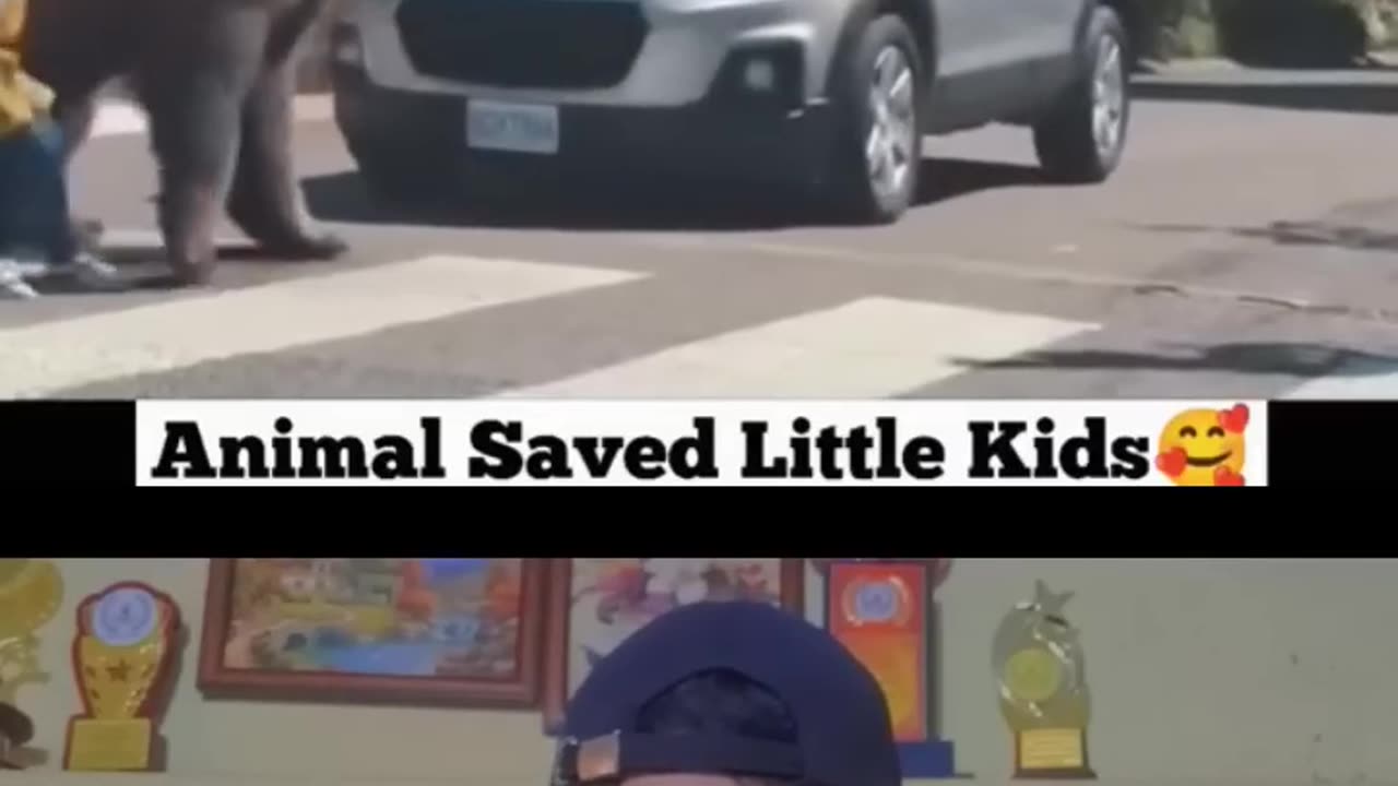 WOW! Animal saved kids Life _ Wildlife Day 2023 #shorts #wildlife