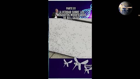 Mosquitos.