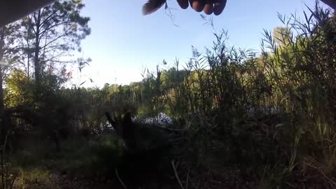 Rescuing a screech owl tangled in fishing line, New Jersey