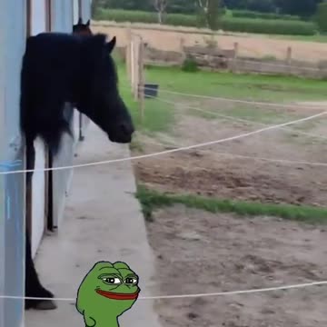 When the FJB song hits you right in the feels. 🐸